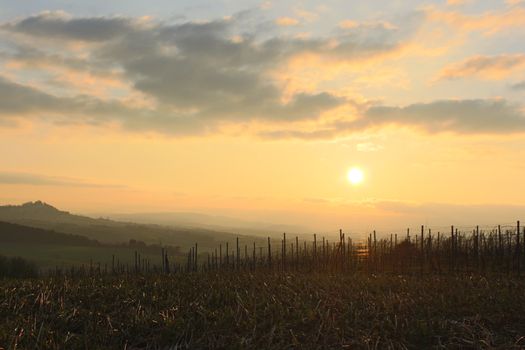 Weinreisen in Europa: 5 Routen, die wirklich schmecken 🍷