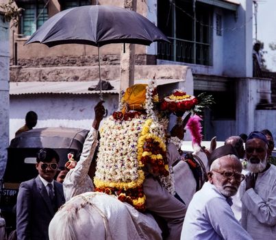 Ayurveda in Indien: 7 Kliniken, die wirklich helfen 🌿
