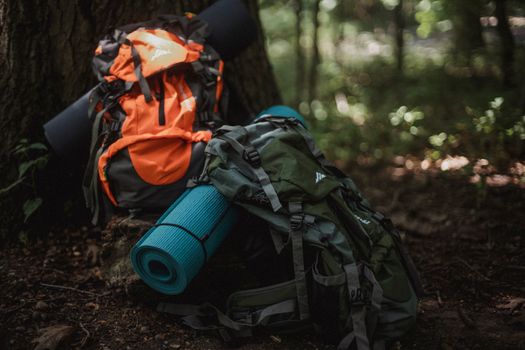 Alpenwandern für Einsteiger: 5 Touren, die wirklich klappen 🏔️