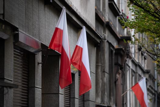 Krakau in drei Tagen: Altstadt, Kazimierz und Ausflüge