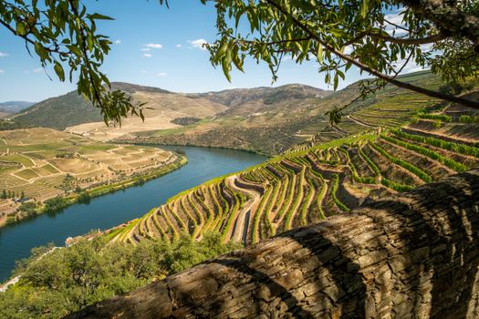 Weinreisen in Europa: 5 Routen, die wirklich schmecken 🍷