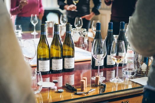Weinreisen in Europa: 5 Routen, die wirklich schmecken 🍷
