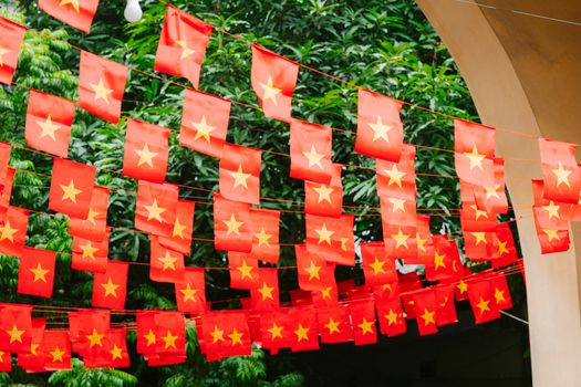 Vietnam: Warum mein erster Trip fast schiefging 🎒