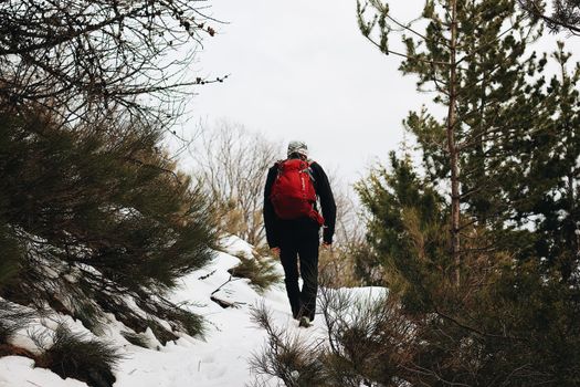Alpenwandern für Einsteiger: 5 Touren, die wirklich klappen 🏔️