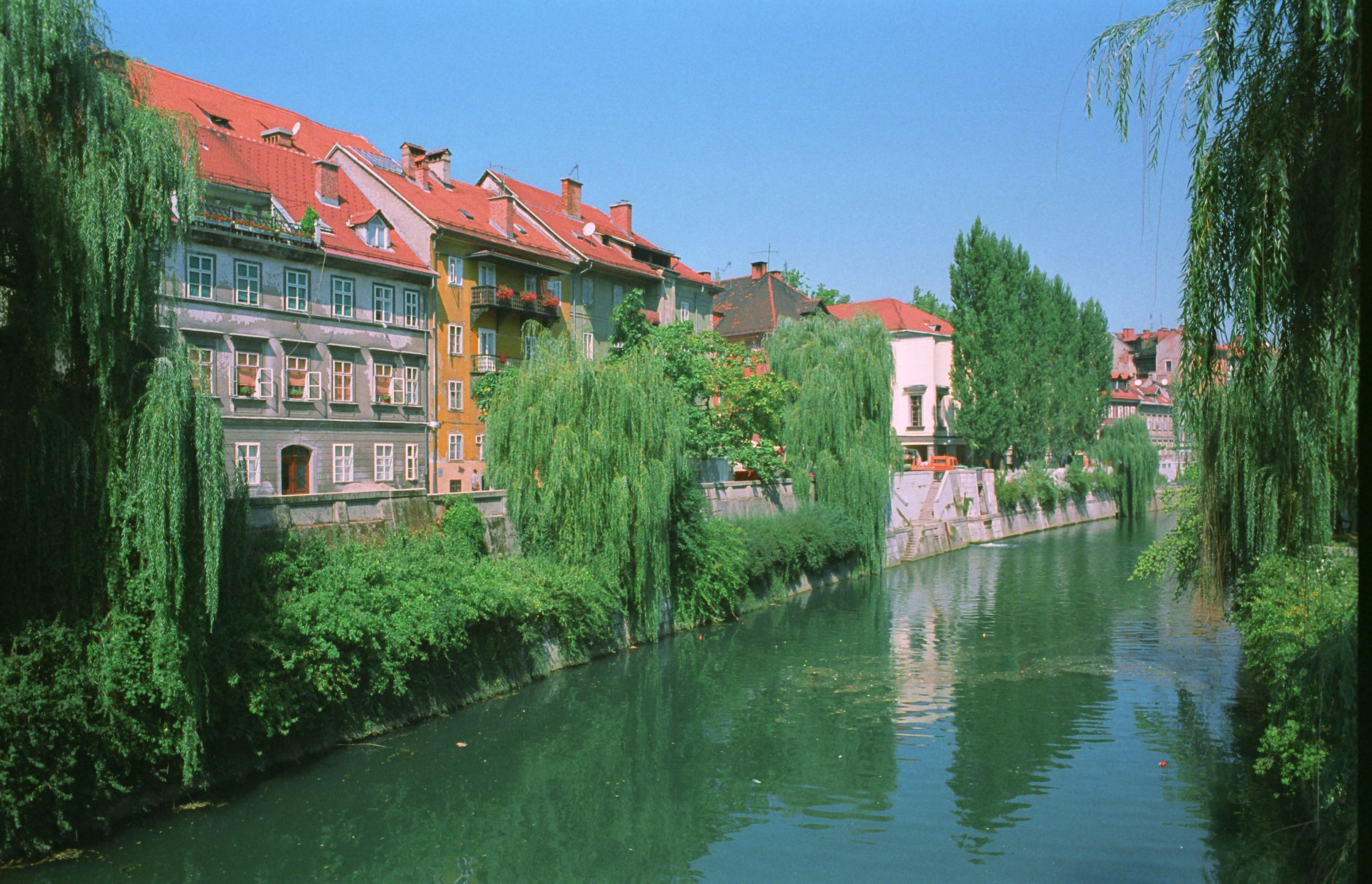 Charming riverside view with colorful buildings and lush greenery in Ljubljana, Slovenia.