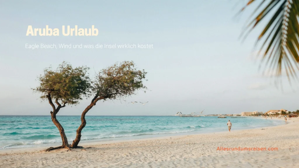 Aruba Urlaub: Eagle Beach, Wind und was die Insel wirklich kostet