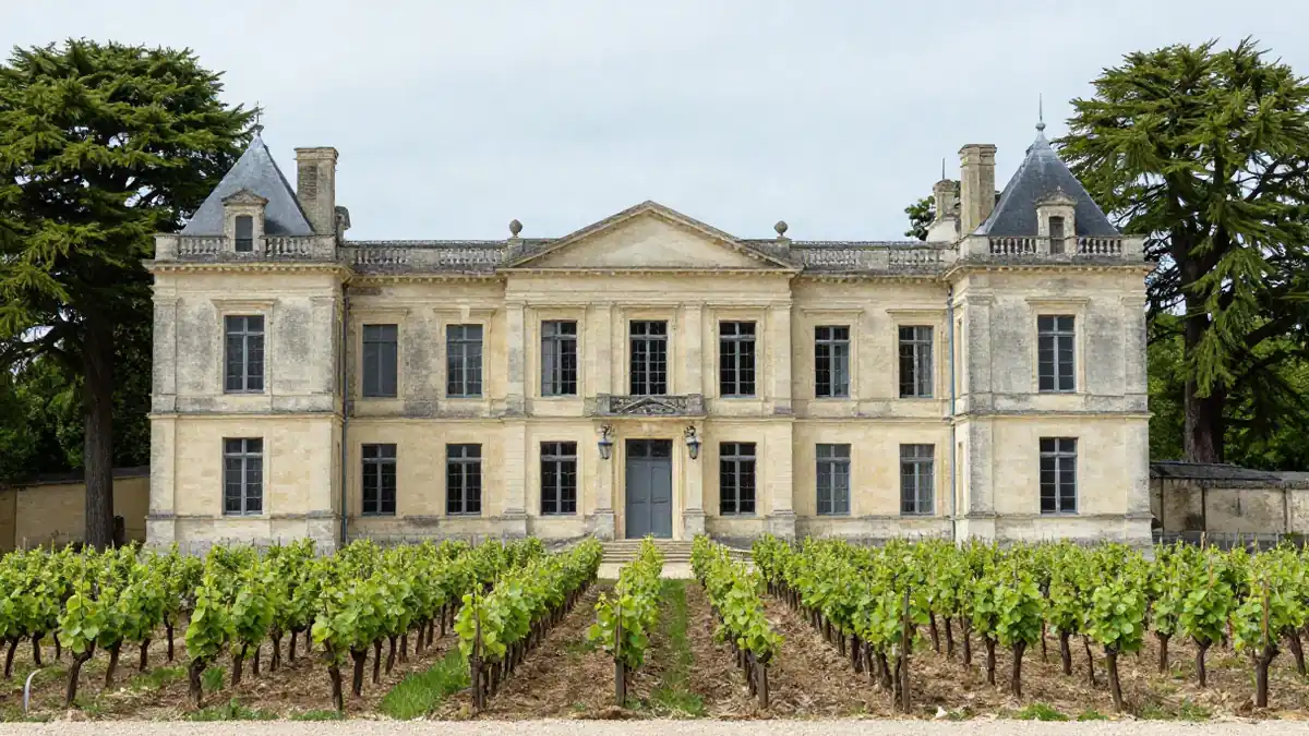 Château-Fassade im Médoc mit Reben im Vordergrund