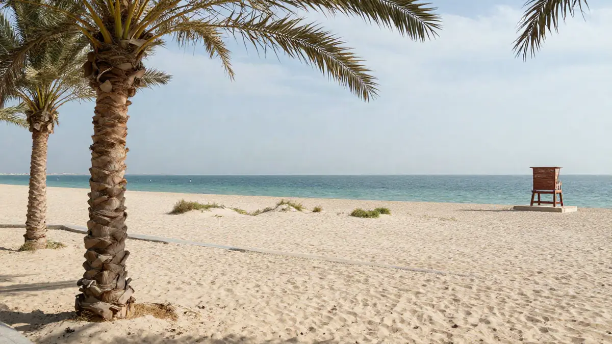 Öffentlicher Strand mit Palmen und ruhigem Wasser