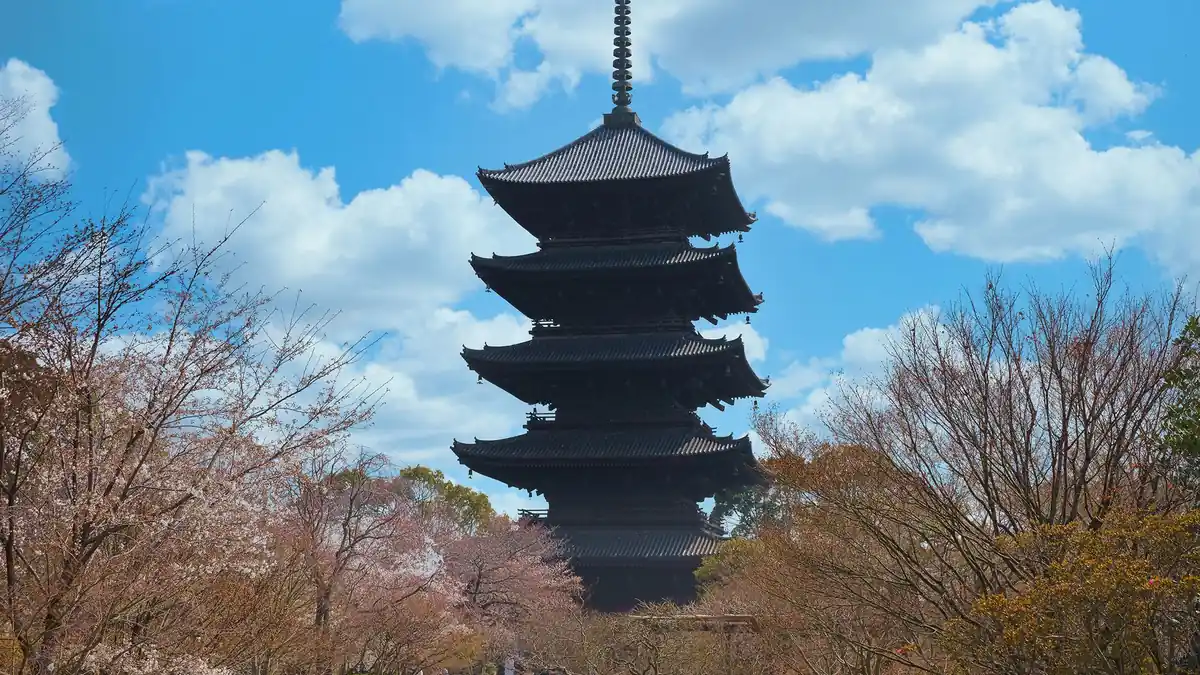 Kirschblüten über einem alten Tempelhof in Kyoto mit Steinlaternen und Holzpagode