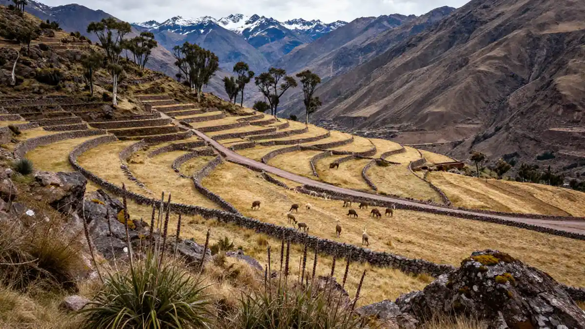 Peru über Machu Picchu hinaus: Cusco, Titicacasee und Colca