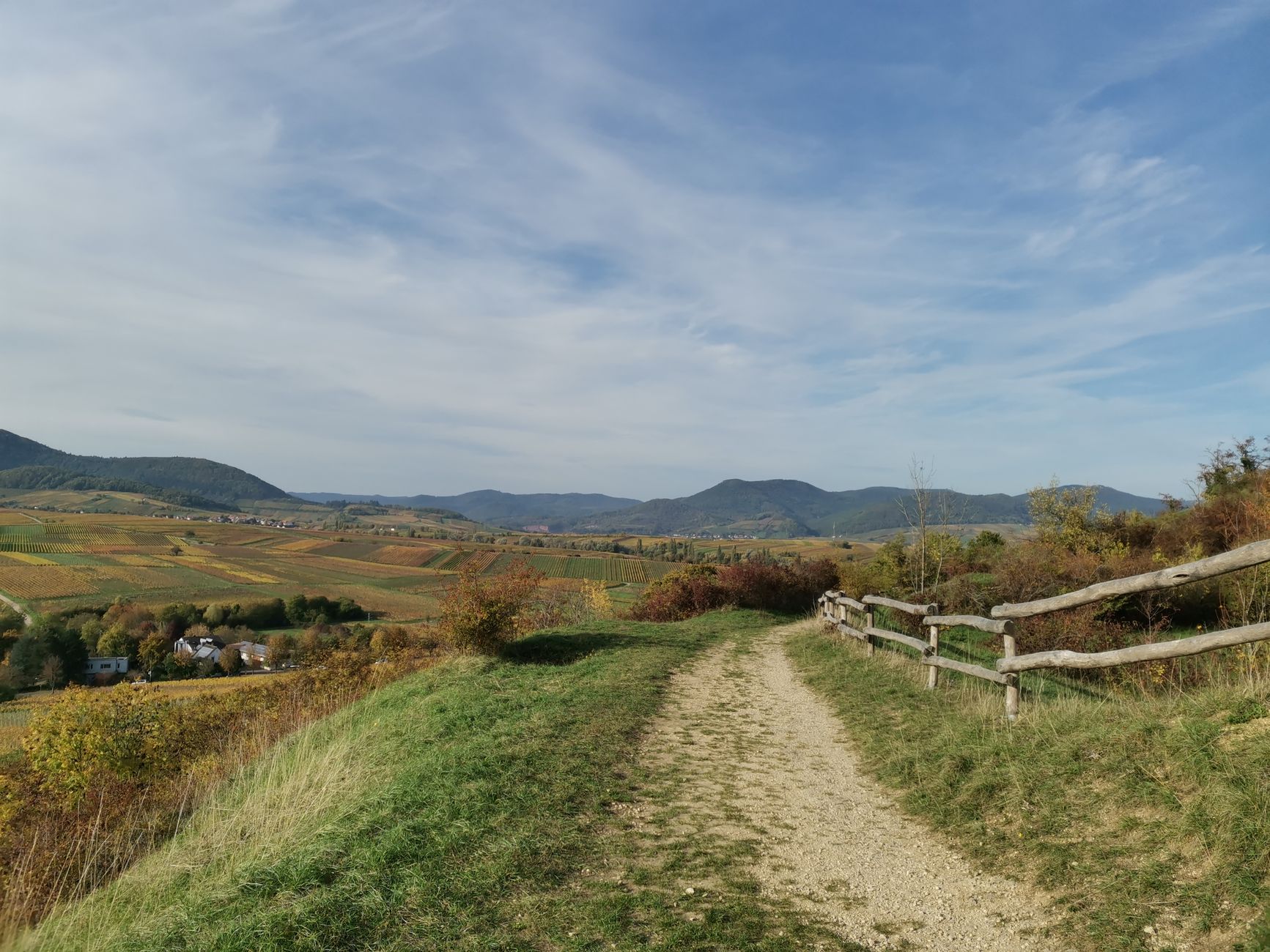 Törggelen in Südtirol: Herbstwanderungen, Buschenschänken und die beste Zeit