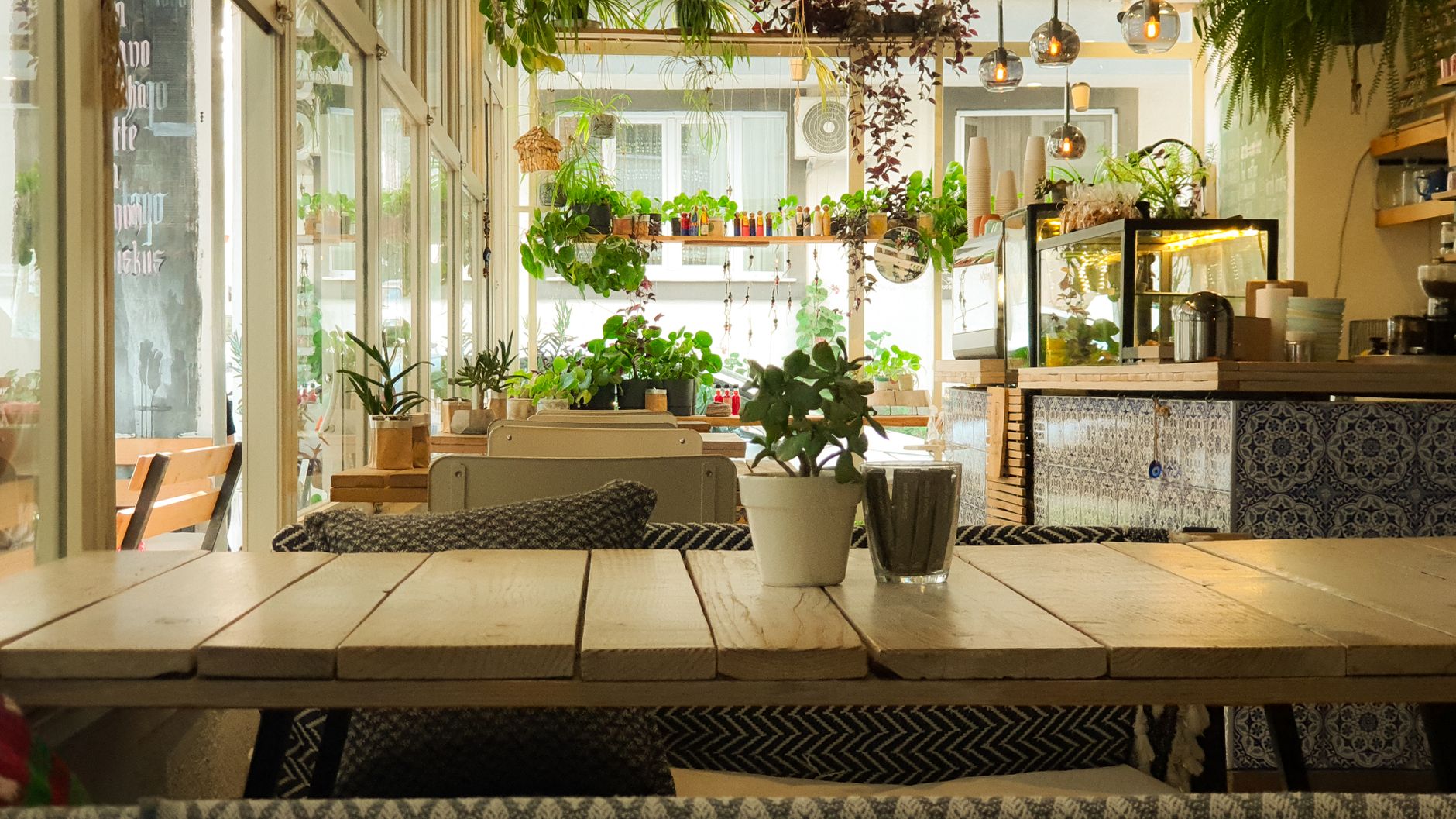 Bright and inviting café interior decorated with lush green plants and wooden furniture.