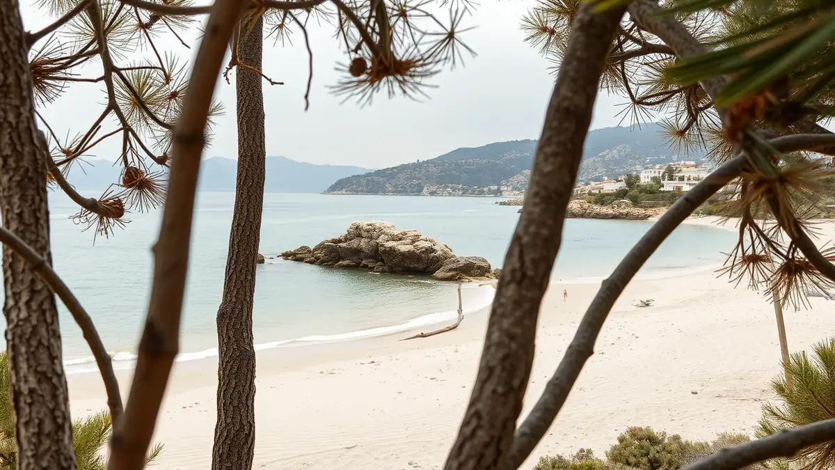 Blick über die Bucht von Chia mit türkisem Wasser und Pinien im Vordergrund