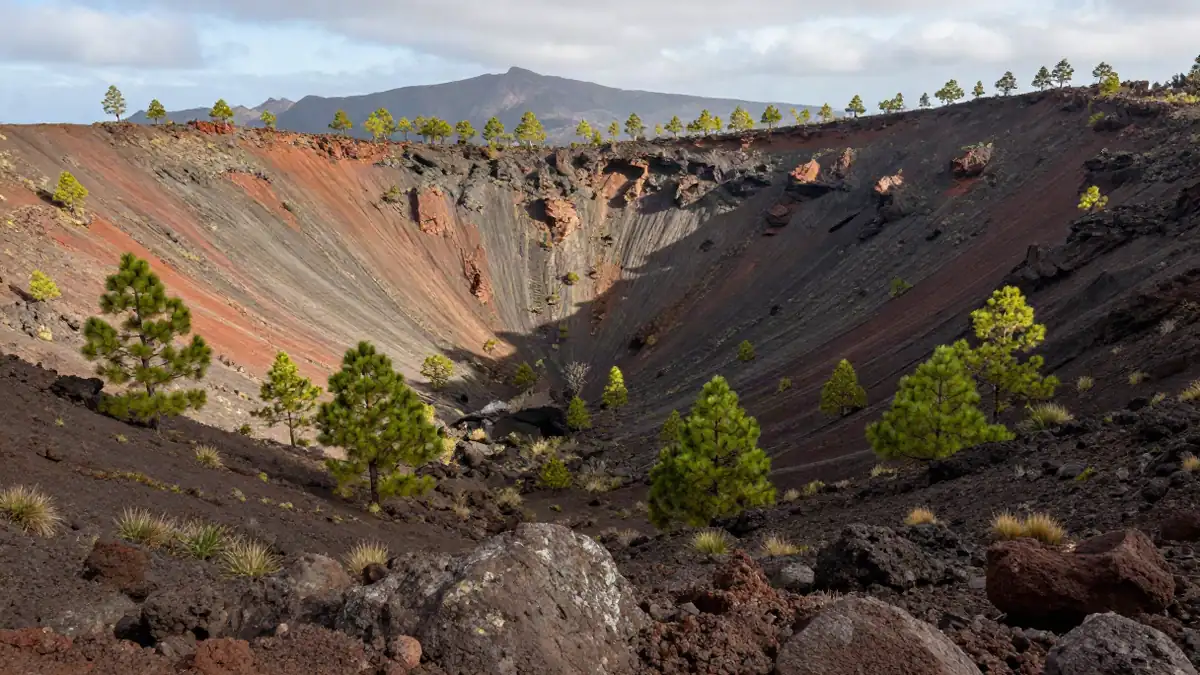 Weitblick über die Caldera de Taburiente mit Kiefernwäldern an den Hängen